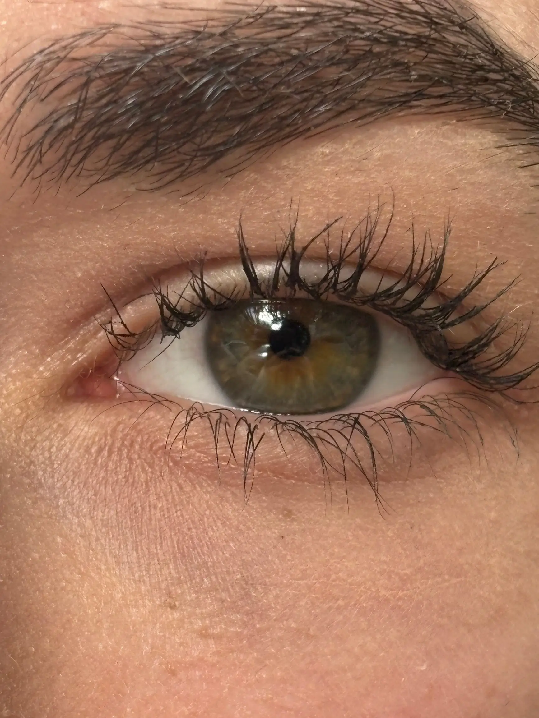 Brow lash lift en shape